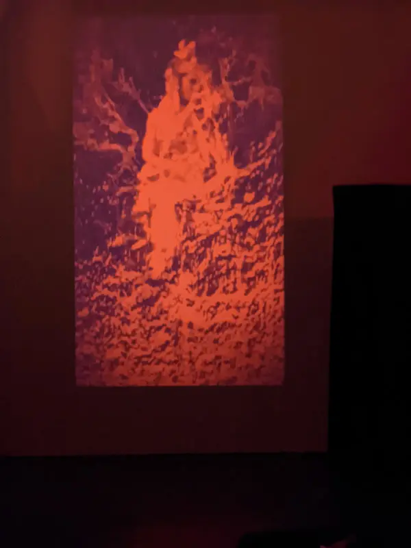 projection-3