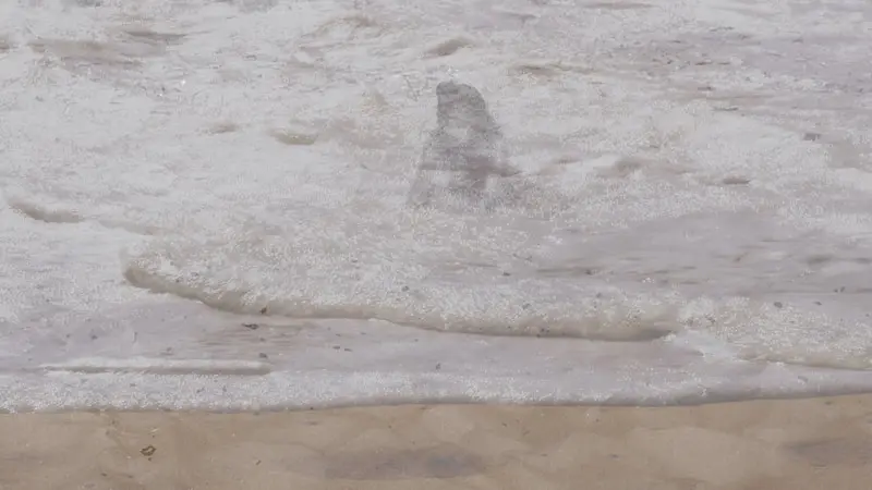 sand-00-02-22-49-still009