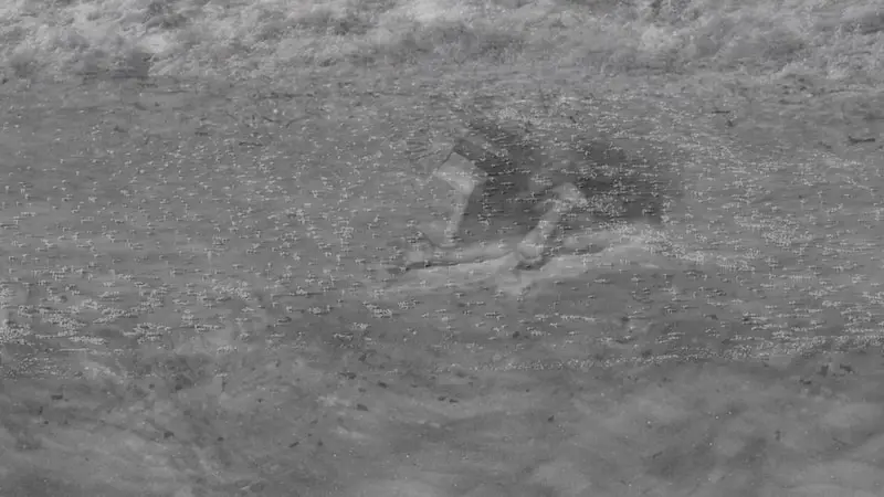 sand-00-03-49-58-still012