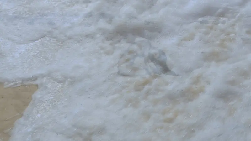 sand-00-05-16-29-still014