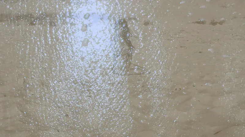 sand-00-05-25-51-still006