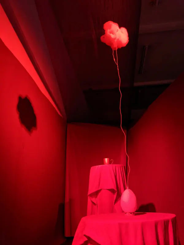 womb-4