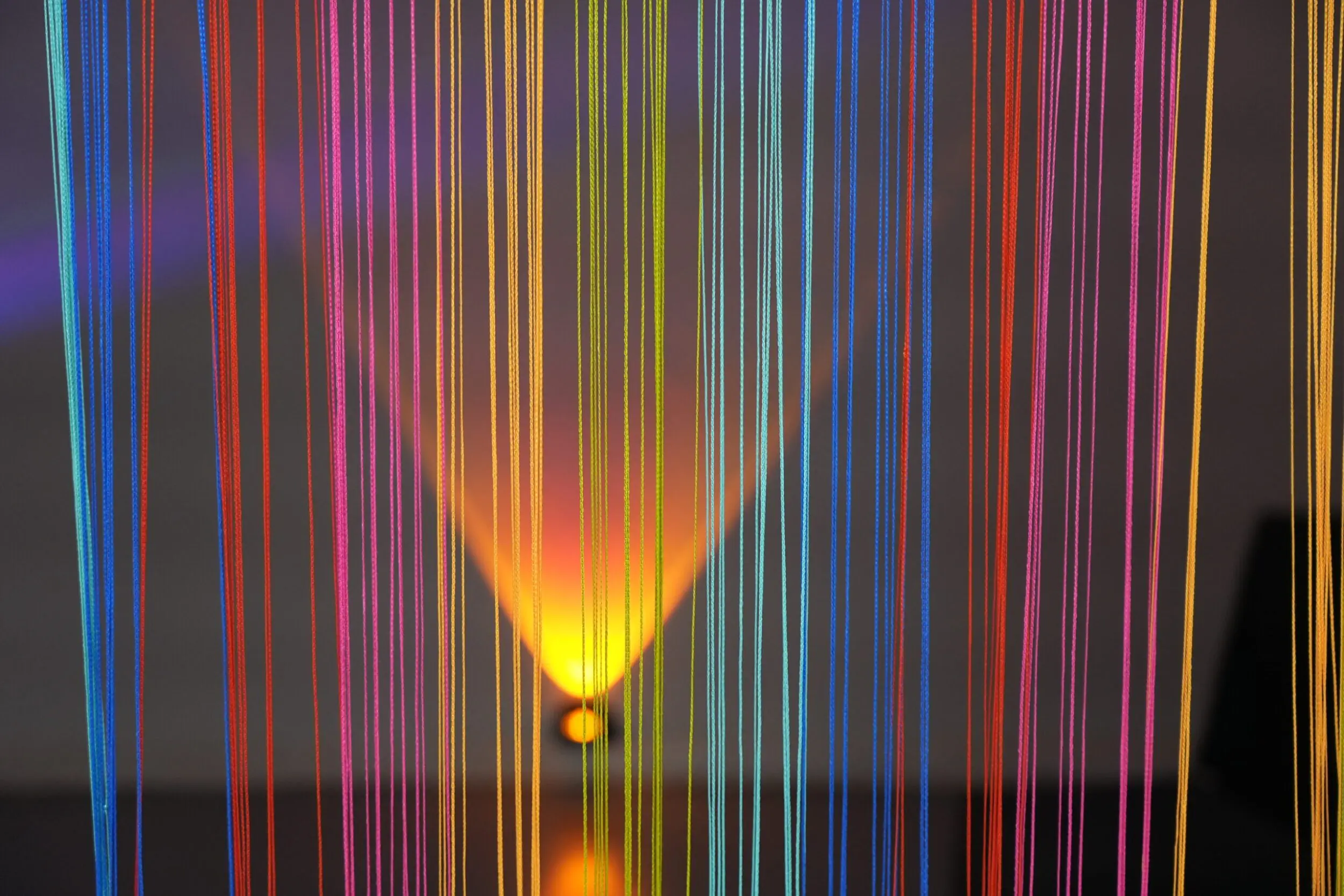 2024 01 PolyLux von Kia (5)